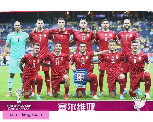 全面盘点世界杯预选赛中表现出色的强队与黑马球队走势分析